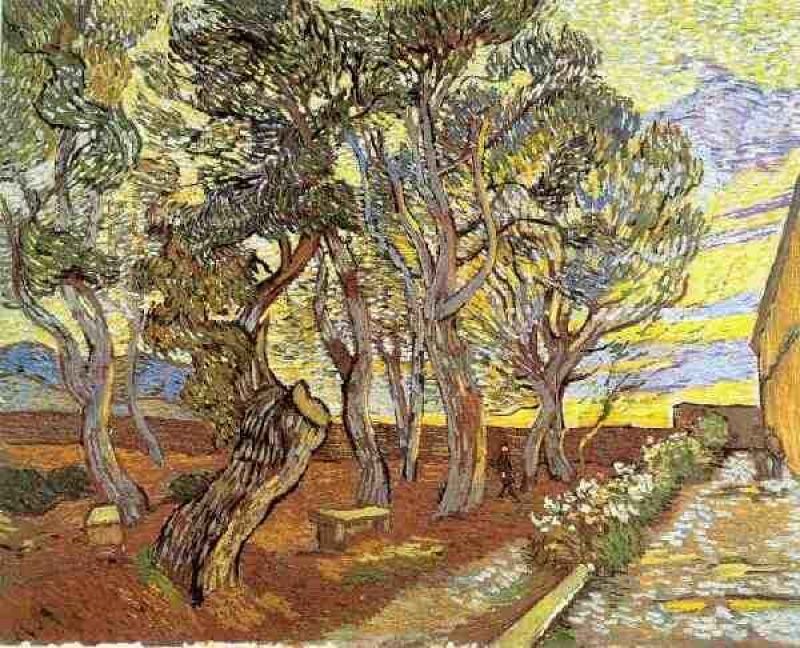 1889 jardin de l'haïpital saint-paul 3.jpg